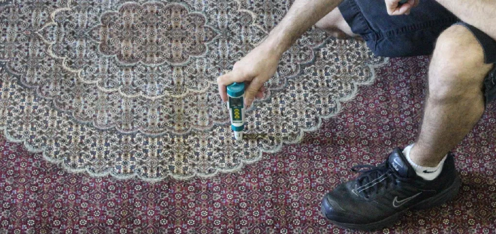 Rug laid out and inspected at the plant before any washing begins